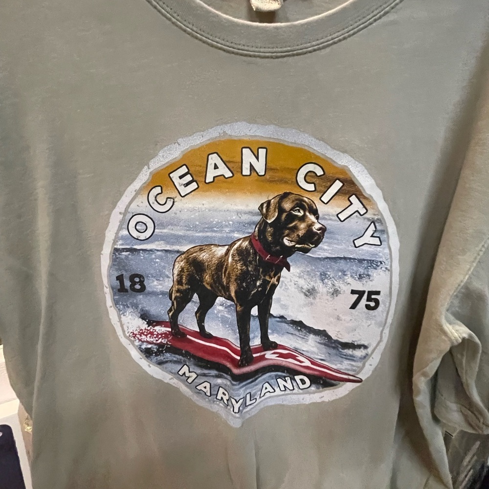 OCEAN
CITY - Picture 2 of 5